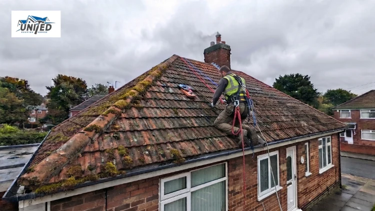Get Rid Of Moss On Your Roof