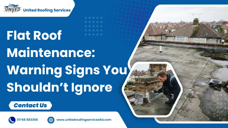 Flat Roof Maintenance Tips-Warning Signs You Shouldn’t Ignore