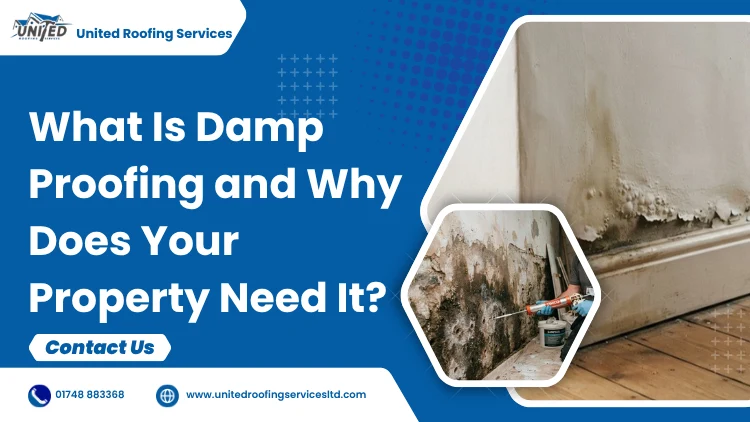 What Is Damp Proofing and Why Does Your Property Need It