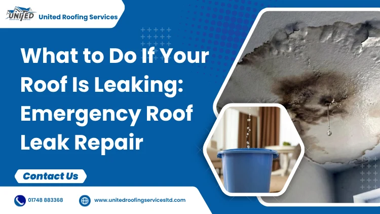 What to Do If Your Roof Is Leaking Emergency Roof Leak Repair Guide (2026)