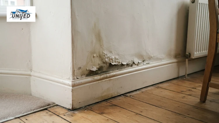 damp stain on wall