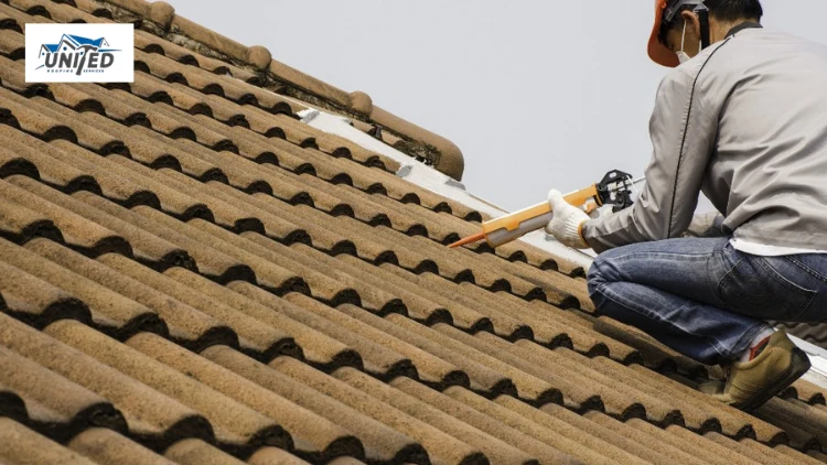 roof sealant for leaks