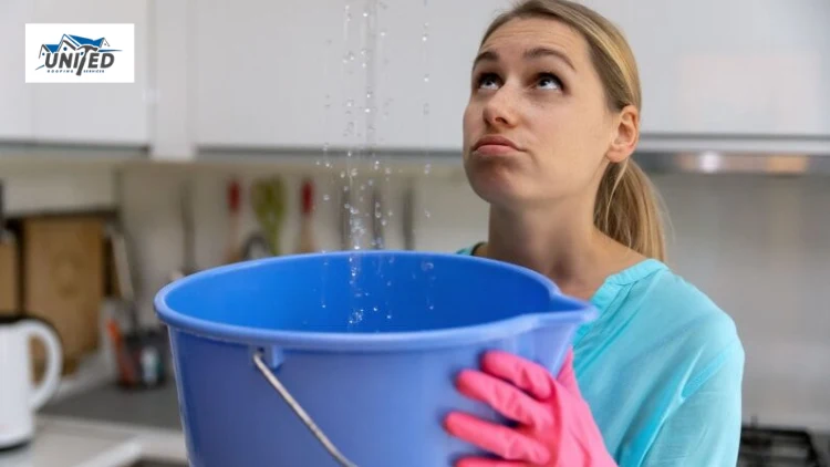 what to do if your roof is leaking
